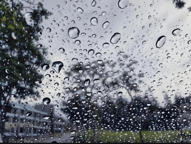 雨季